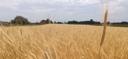 Garantált minőség, saját termesztésből